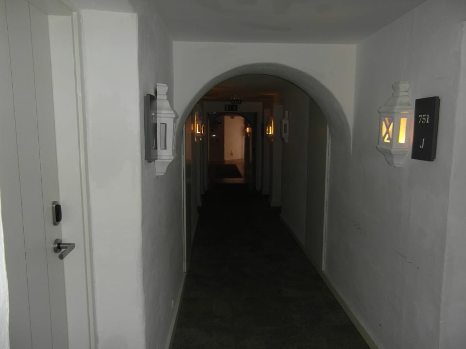 Zimmer Dreams Jardín Tropical