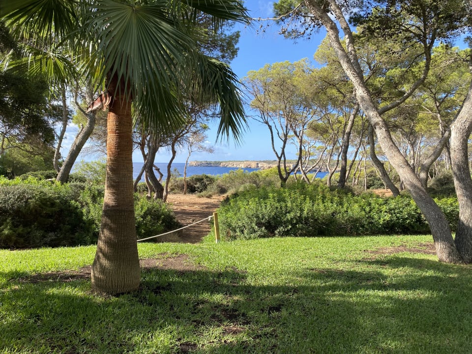 Gartenanlage Iberostar Waves Club Cala Barca