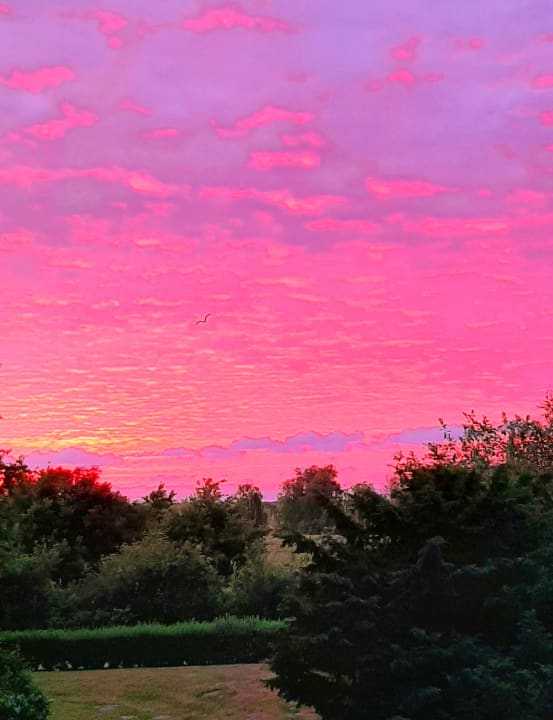 Ausblick Ferienwohnungen Ferienpark Weissenhäuser Strand