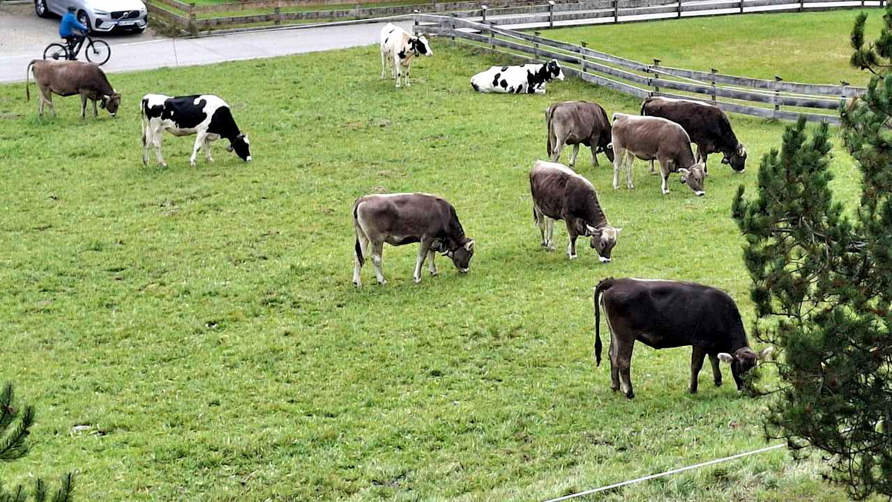 Ausblick Landhaus Wildschütz