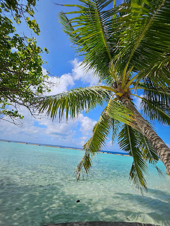 Ausblick Ellaidhoo Maldives by Cinnamon