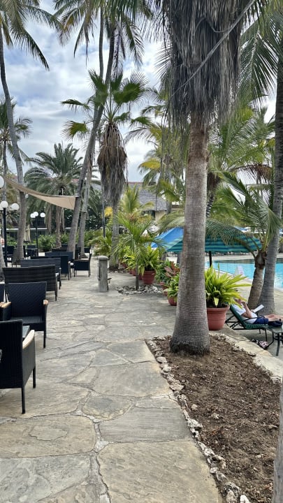 Gartenanlage Bahari Beach Hotel