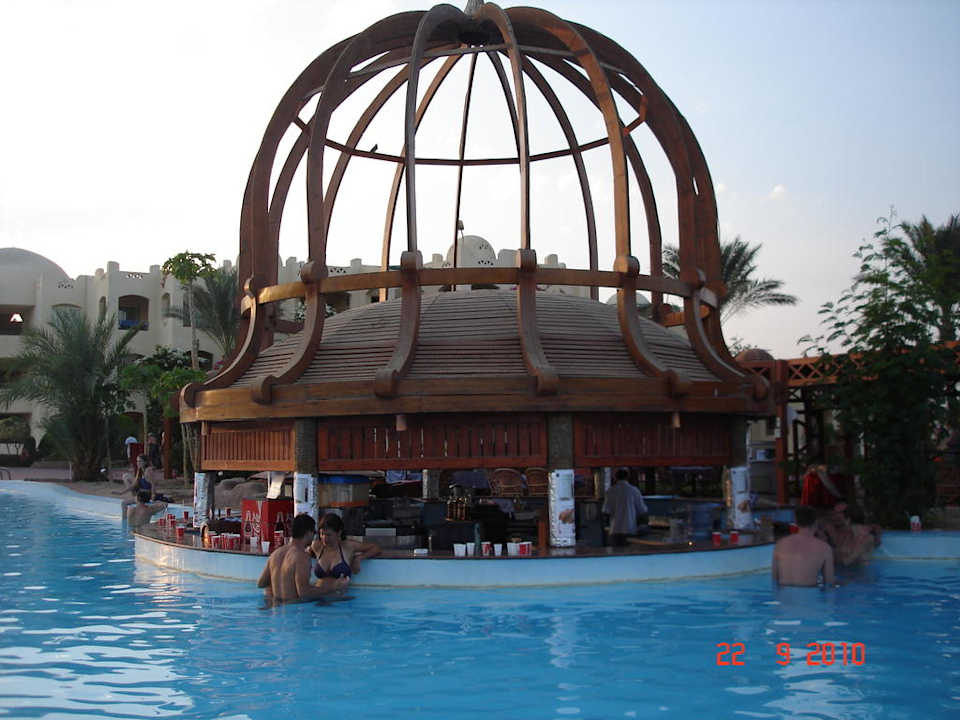 Bar w basenie Xanadu Club Makady Bay