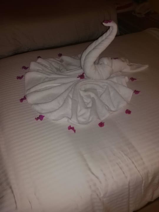 Joft eine Überraschung Giftun Azur Resort