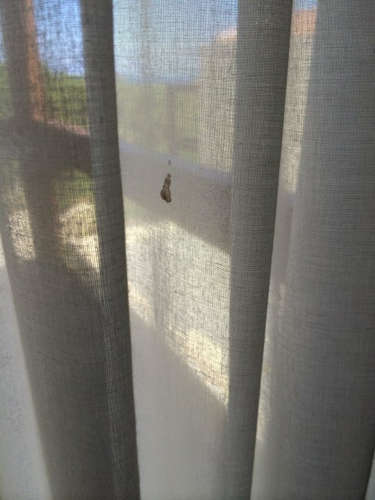 Blutflecke auf Vorhängen Phãea Cretan Malia