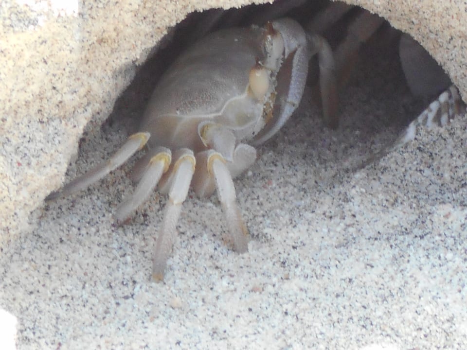 Strand Wyndham Garden Salalah Mirbat