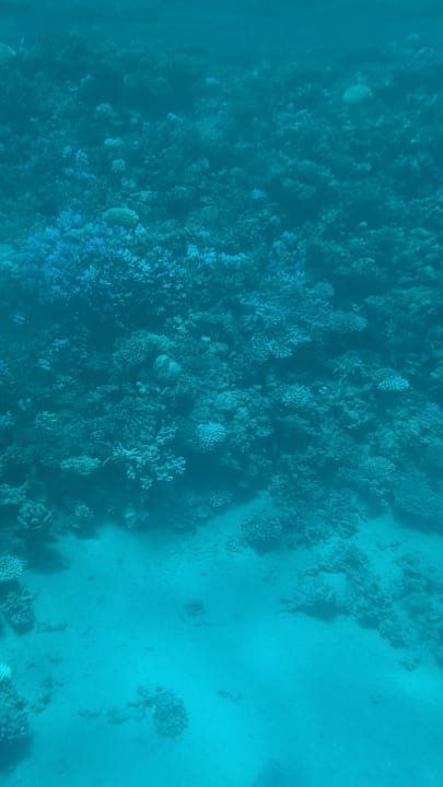 Strand Cleopatra Luxury Resort Makadi Bay