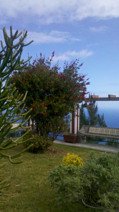 Bottle-Brush-Tree Hotel Cabanas de Sao Jorge