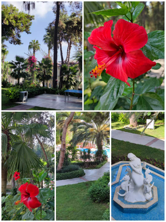 Gartenanlage Club Sidelya Hotel