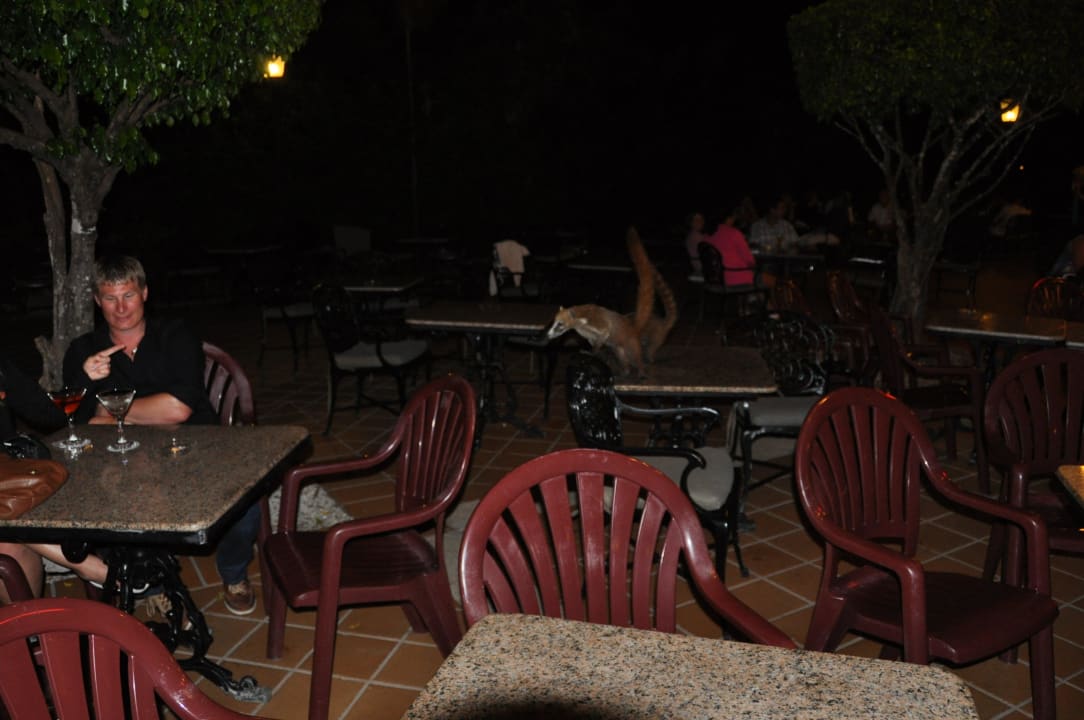 Nachts hat man Platz Hotel Riu Tequila