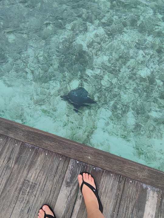 Strand Pullman Maldives Maamutaa - All-Inclusive Resort - 50% off Domestic Transfers