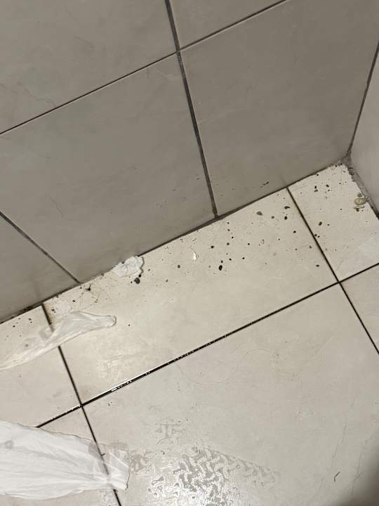 Zimmer Asteria Collection Side