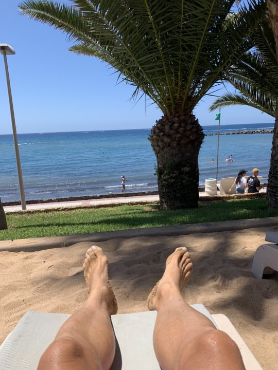 Gartenanlage Hotel Riu Palace Tenerife