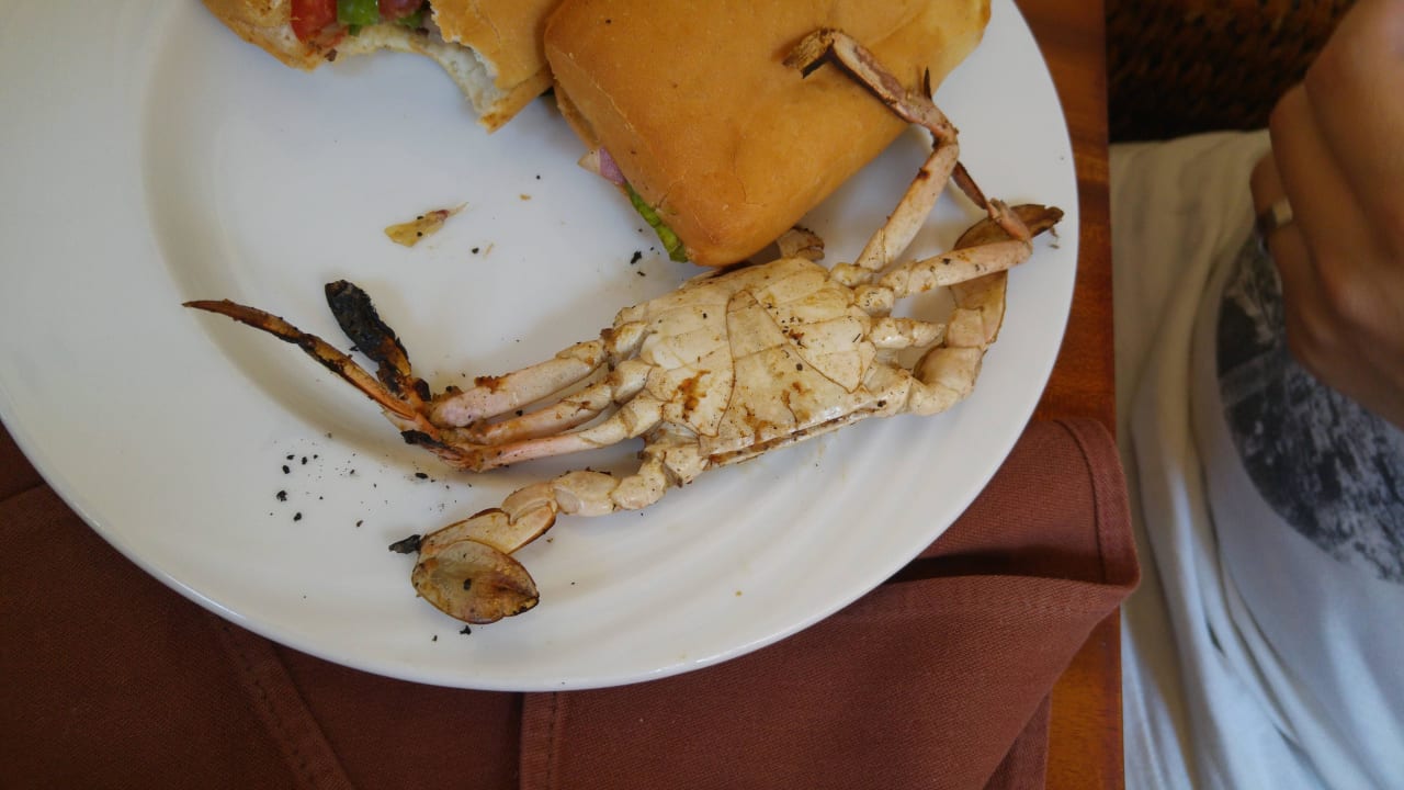 Hotel Sunwing Waterworld Makadi Grand Waterworld Makadi & Family Star Makadi