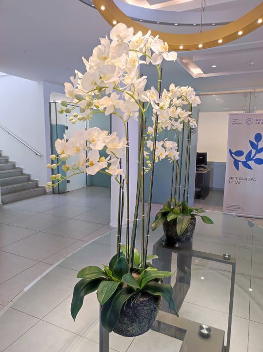 Lobby Acharavi Beach Hotel