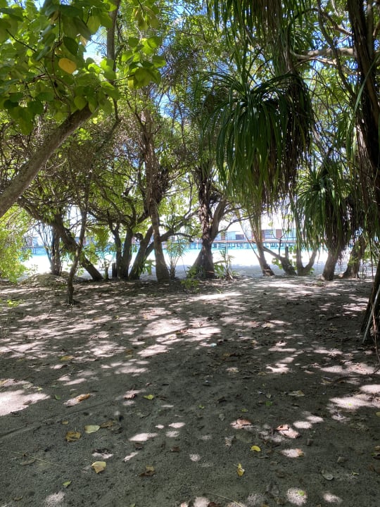 Gartenanlage Adaaran Select Meedhupparu Island Resort - Premium All Inclusive