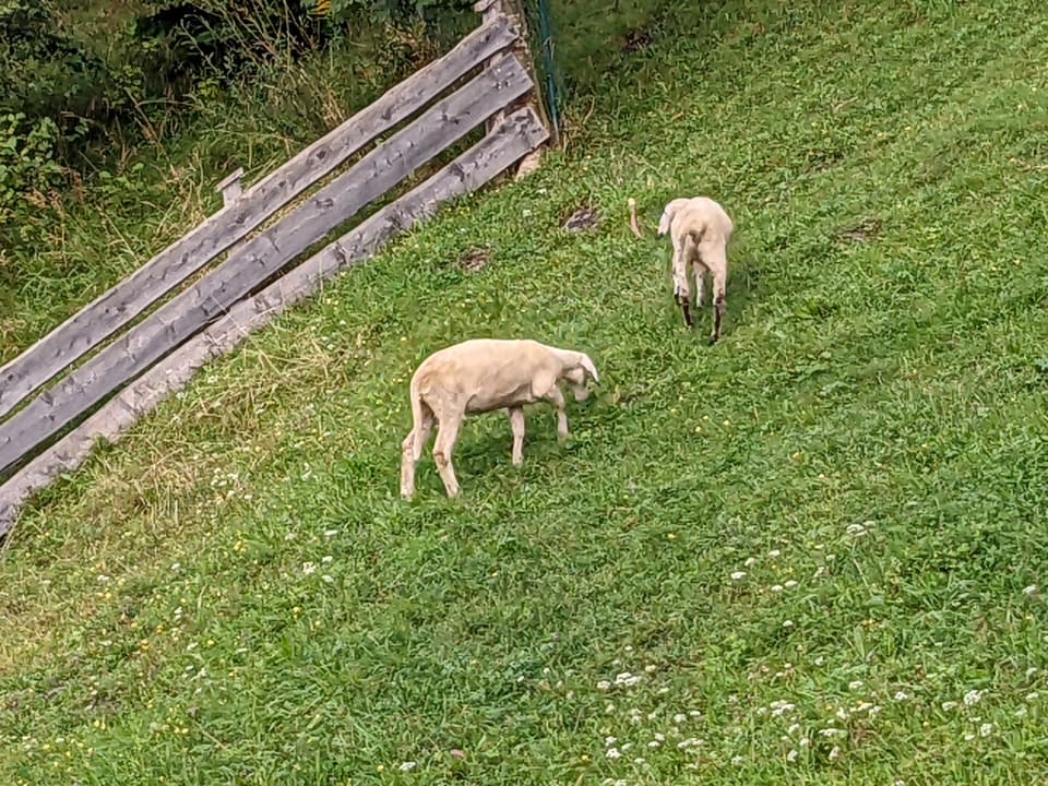Ausblick Apartment Christine