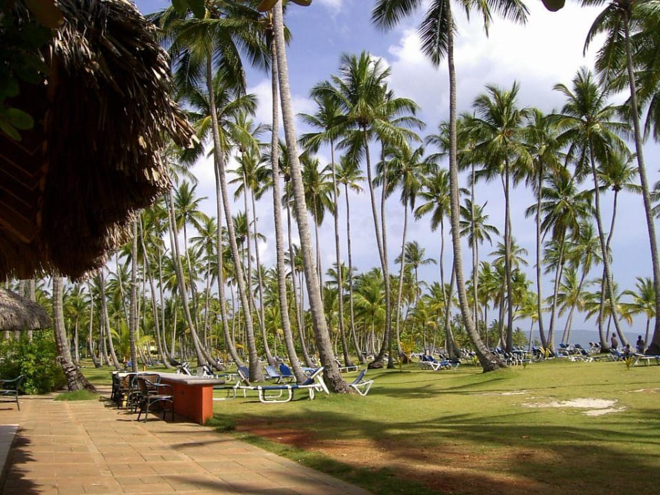 Gartenanlage/-strand Wyndham Alltra Samana