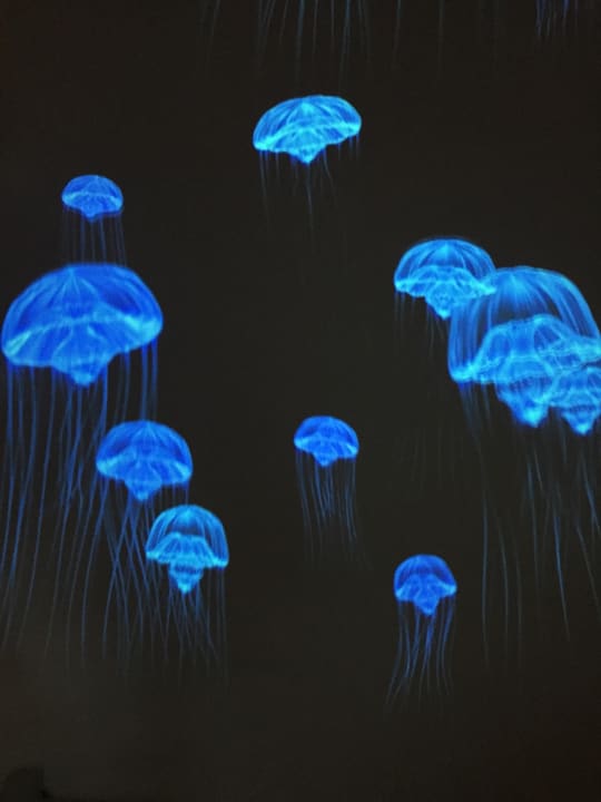 Son Moll Sentits Hotel & Spa - Adults Only Son Moll Sentits Hotel & Spa