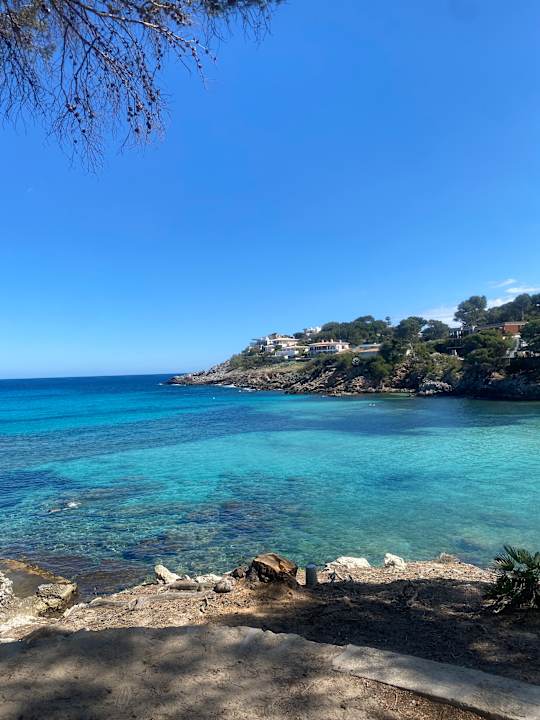 Ausblick Iberostar Waves Pinos Park
