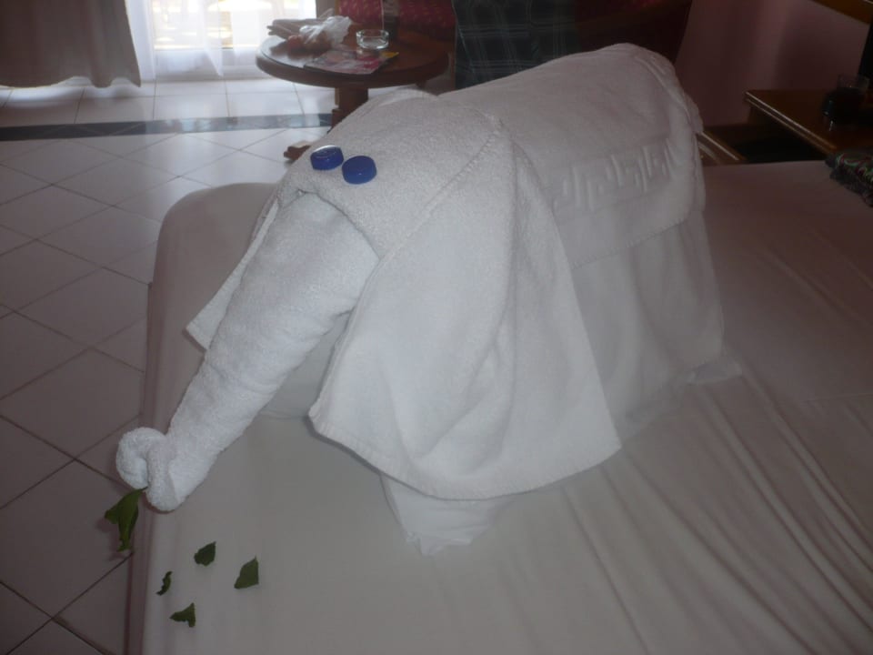 Dekoracie Desert Rose