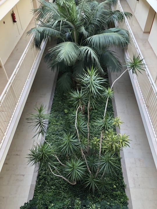 Sonstiges Zafiro Mallorca