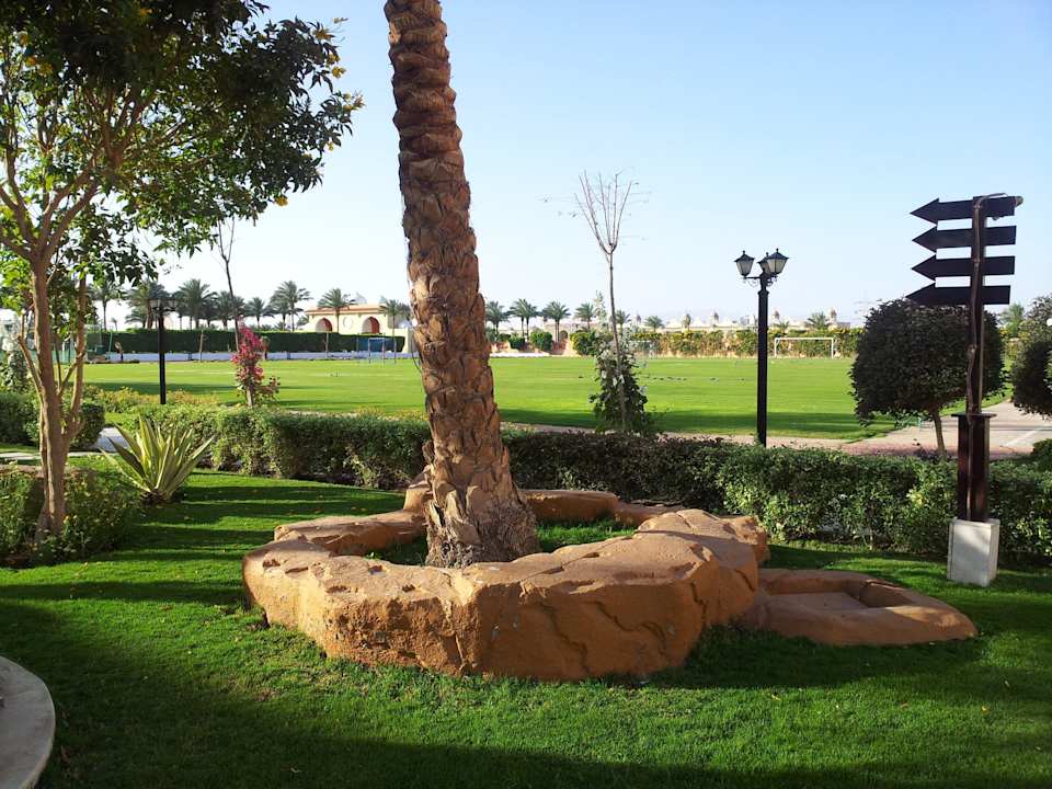 Место около пляжа Sentido Mamlouk Palace Resort