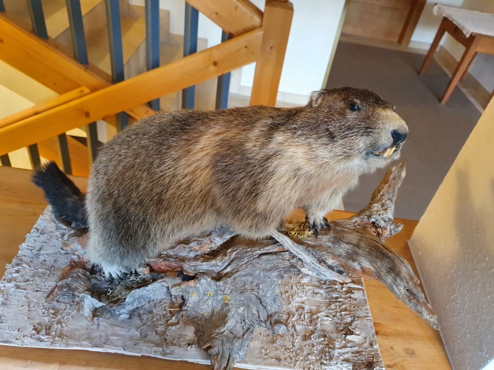 Sonstiges Hotel Jerzner Hof