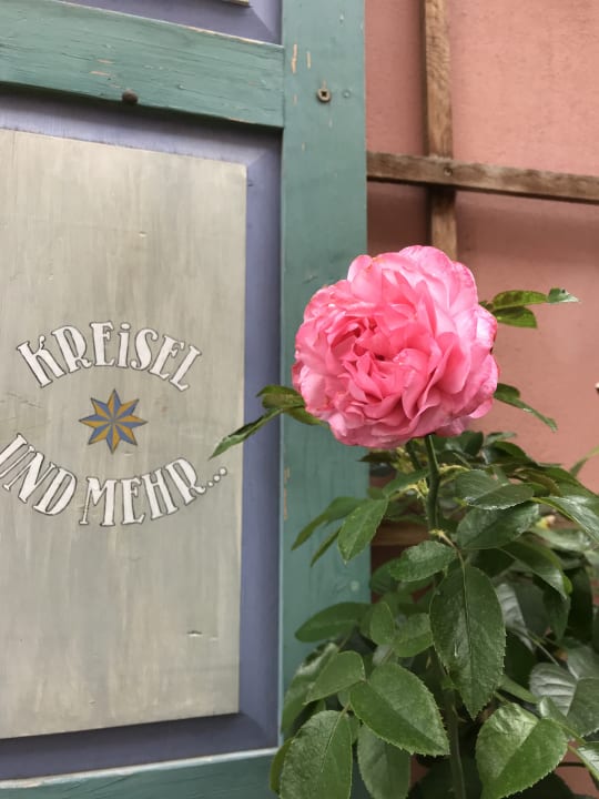 Sonstiges Ferienhaus Lichtung