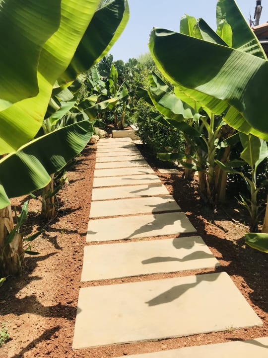 Gartenanlage Phãea Cretan Malia