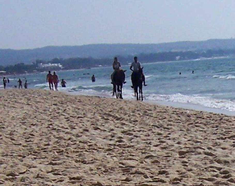 Reiten am Strand Hotel Paradis Palace