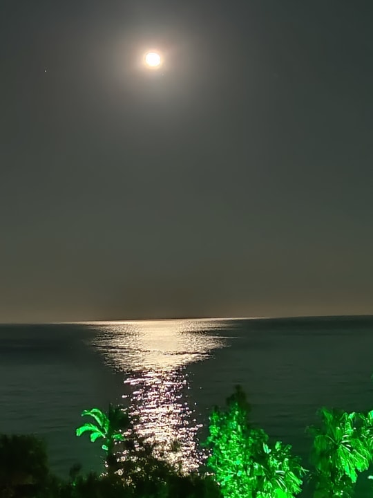 Ausblick TUI MAGIC LIFE Beldibi +16