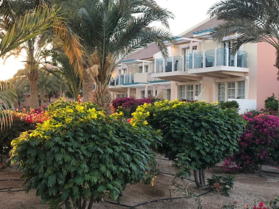 Gartenanlage Mövenpick Resort & Spa El Gouna