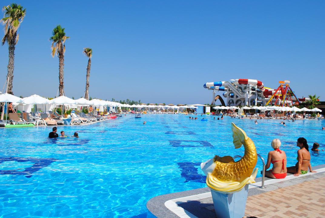 Pool Hotel Delphin Imperial