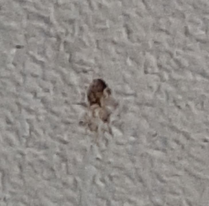 Zimmer Emsland Hotel Saller See