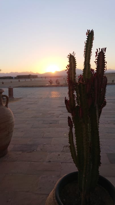 Ausblick Viva Blue Resort