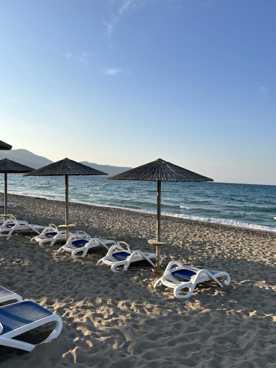 Strand Dessole Dolphin Bay Resort