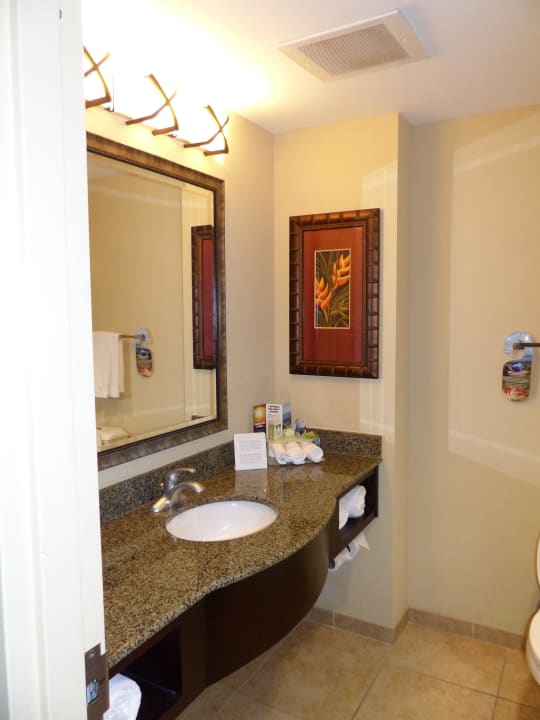 Bad Holiday Inn Express Hotel & Suites Tampa USF Busch Gardens