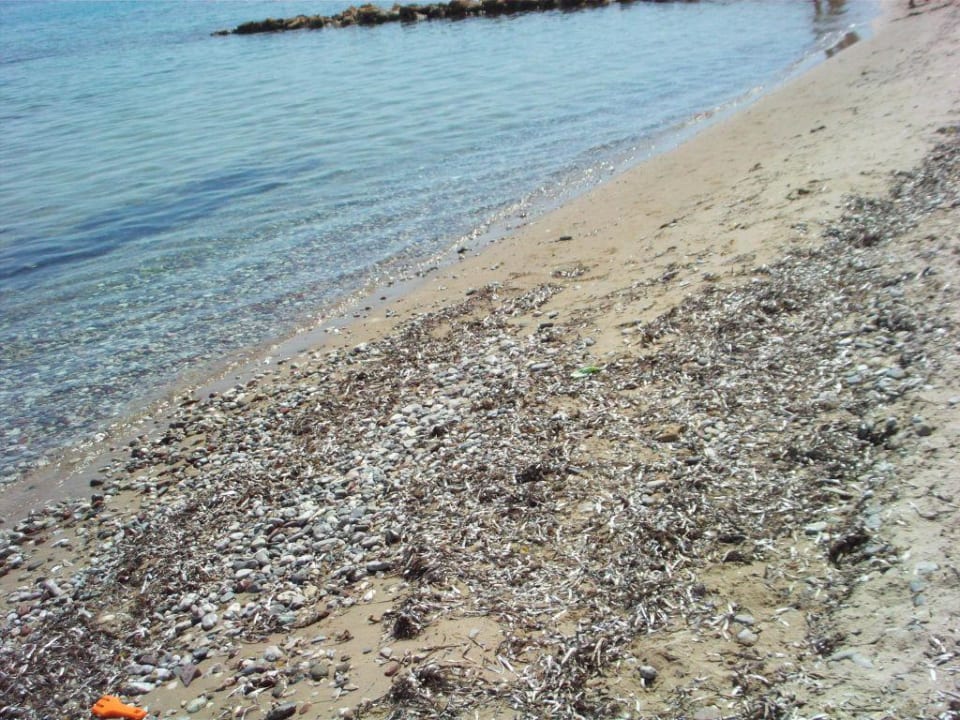 Plaża Hotel Belussi Beach