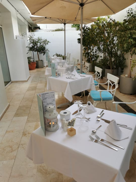 Gastro Sentido Fido Punta del Mar – Adults only