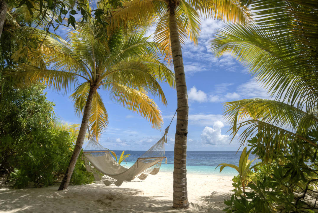 Postcard Mirihi Island Resort