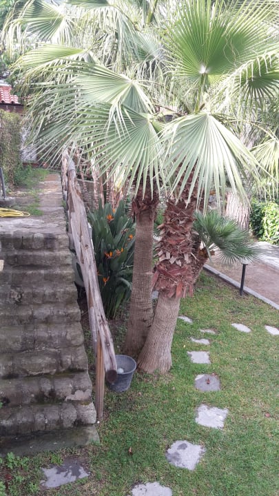 Gartenanlage Hotel La Pergola & Villa Flavio Ischia