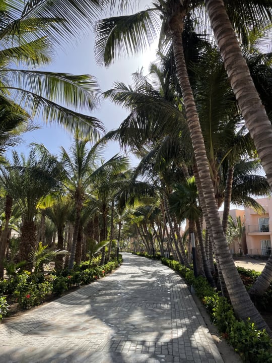 Gartenanlage Hotel Riu Cabo Verde