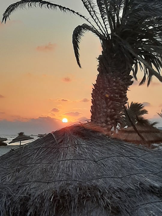 Strand Iberostar Waves Mehari Djerba