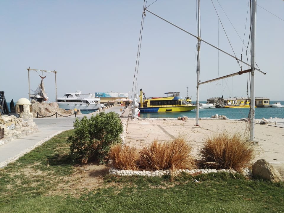 Ausblick Sindbad Club