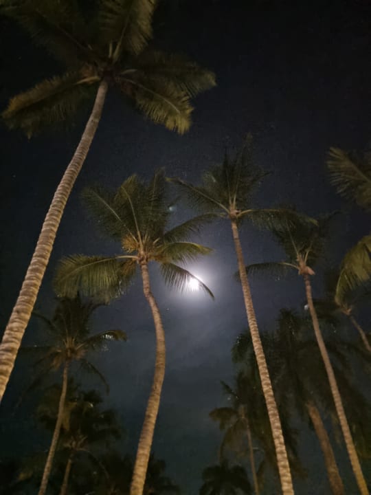 Ausblick Hotel Viva Dominicus Beach by Wyndham - All Inclusive Resort