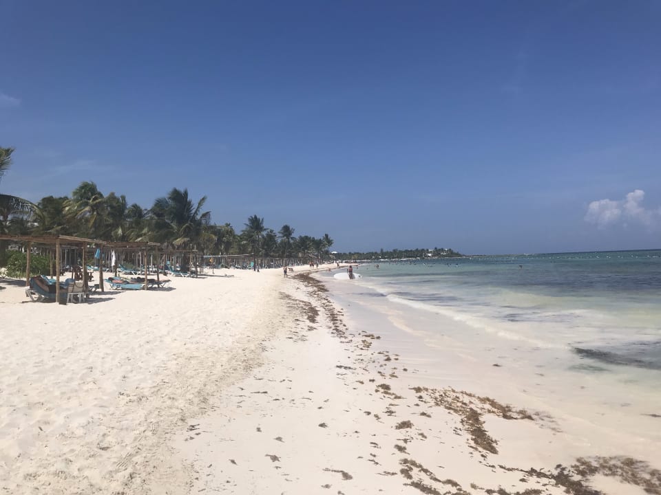 Strand Akumal Bay Beach & Wellness Resort
