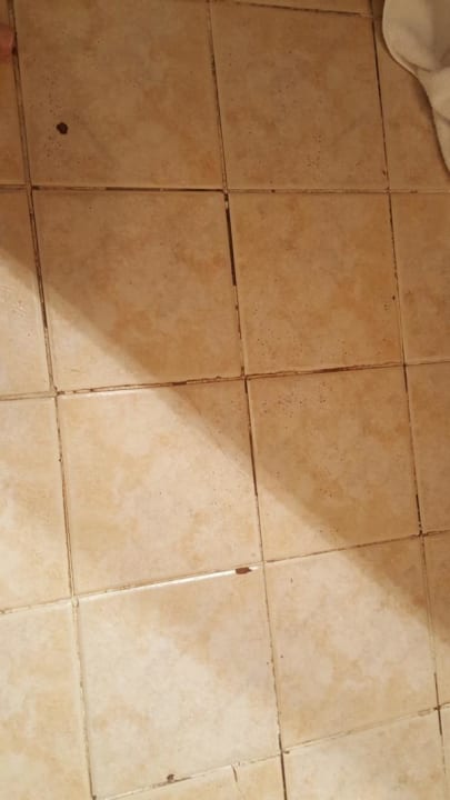 Zimmer Ghazala Gardens