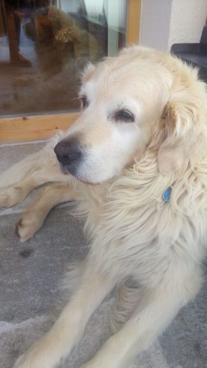 Sonstiges Berghotel Der Königsleitner -Adults Only