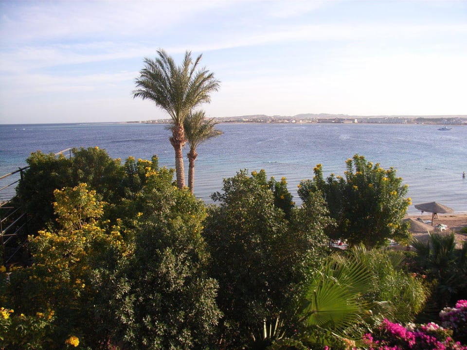 Ausblick aus Zimmer Fort Arabesque Resort, Spa & Villas